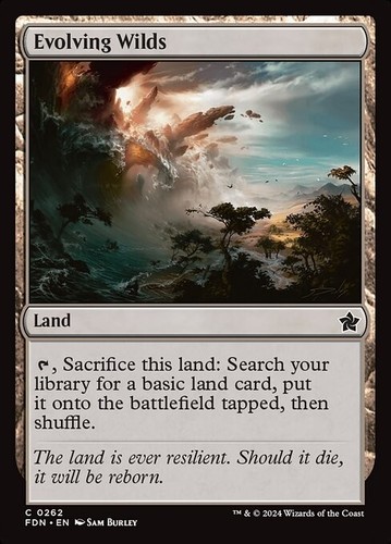 Magic evolving wilds - 2x,