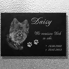 Tier Grabstein, Grabplatte