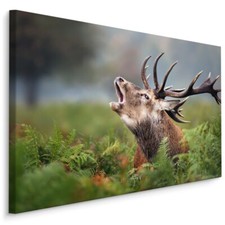 CANVAS Leinwand Bilder XXL