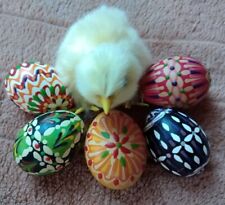Sorbische Ostereier, 5 Stück, sehr zierliche Eier von Erstlegern, Selten 