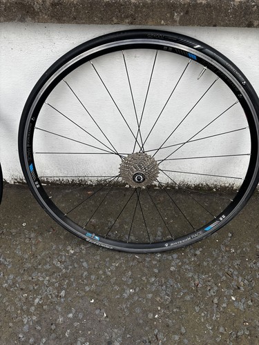 Bontrager race 700c - bontrager, clincher