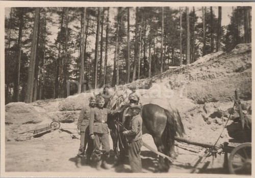 Foto arbeitsdienst 371 - foto, 6/371