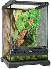 Exo Terra Terrarium aus Glas - Glasterrarium - Grösse: 20 x 20 x 30cm (LxTxH)