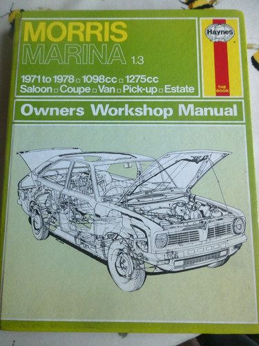 Morris marina haynes - morris,