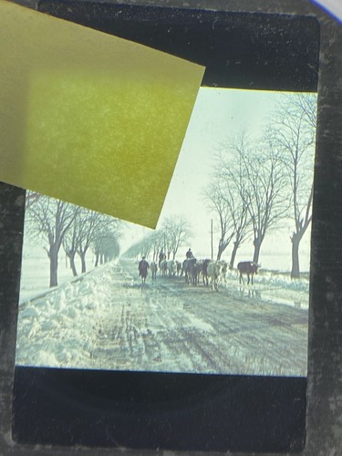 Wk2 farb dia color slide - wk2,