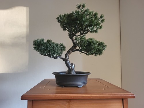 Künstliche bonsai kiefer 30cm - künstliche,