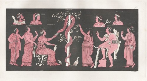 Hesperides hercules greek - hercules,