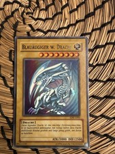 Blauäugiger Weißer Drache
