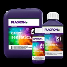 Plagron Green Sensation 100ml