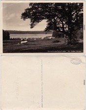 Schorfheide Zeltlager am