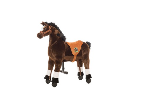 Animal riding reitpferd - riding,