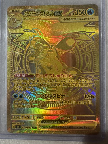 Mega greninja 120 083 mur - greninja, ex