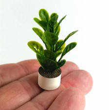 Puppenhaus Miniatur-Pflanze im
