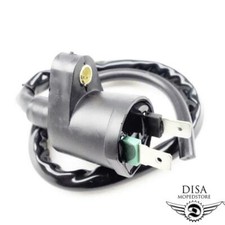 Zündspule für Peugeot New