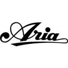 Aria Laredo Gitarre Western schwarz verziert