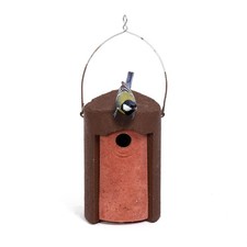 Jacobi Jayne Schwegler 1B