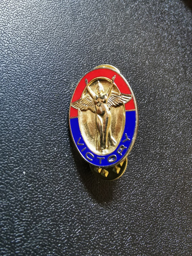 Alter army pin crest - army,
