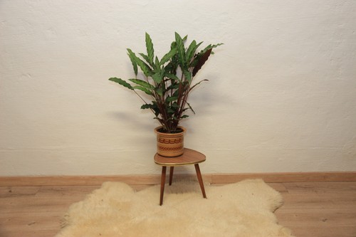 Blumenhocker 50er 60er - , jahre