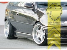 Rieger Seitenschweller für