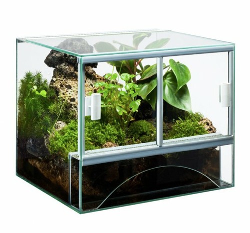 Glas terrarium 40x30x30cm - glas,