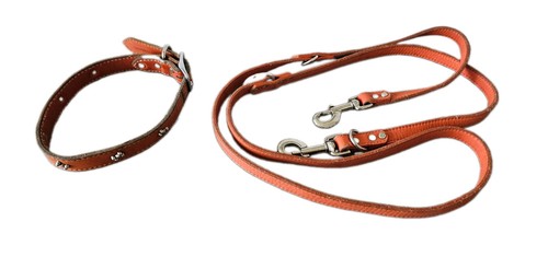 Hunde halsband leine - hunde-halsband, +hunde-leine
