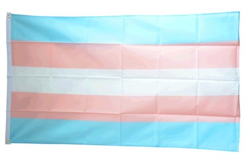 Fahne transgender pride flagge - transgender,