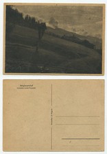 15139 - Bergbauernhof - Lichtbild: Lotte Trampler - alte Ansichtskarte 