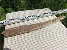 XL Stamm Skulptur Driftwood