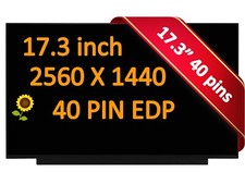 240hz Display for MSI Raider