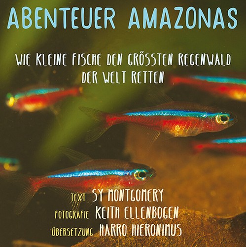 Abenteuer amazonas wie kleine - amazonas.,
