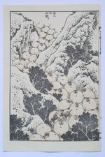 HOKUSAI Fuji 100 Ansichten