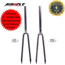 700C Carbon Rennrad Gabel 1