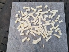 Wildschwein Zehen Füße