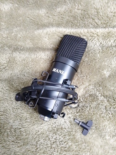 Studiomicrophone manli - studiomicrophone,
