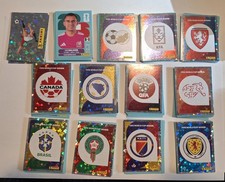Panini fifa world cup - fifa,