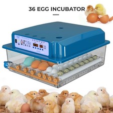 Vollautomatisch Inkubator