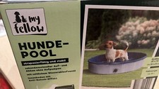 Hundepool Swimmingpool
