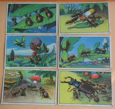 6 Sammelbilder Echte Wagner