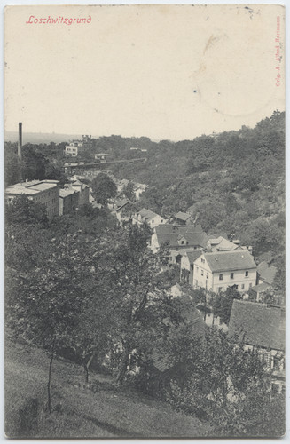 8010 loschwitzgrund - ak,