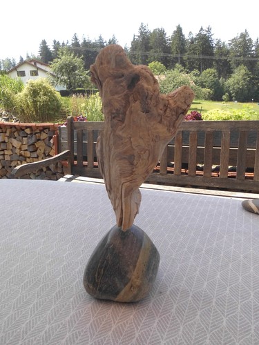 Treibholz treibholzskulptur - treibholz,