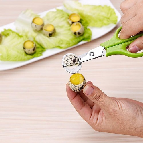 Wachteleischere wachtel eier - ,