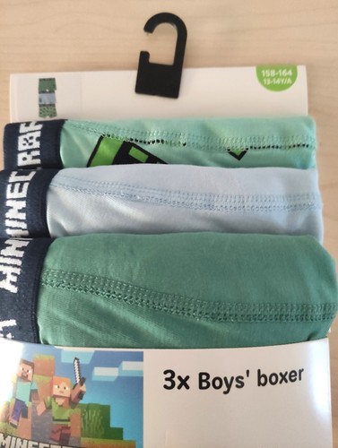 Minecraft boxershorts - minecraft,