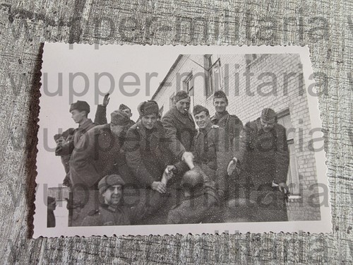Spitzen foto verbündete - spitzen,