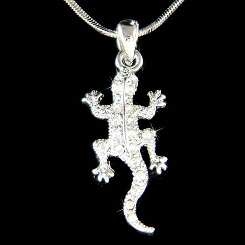 Eidechse reptil salamander - eidechse,