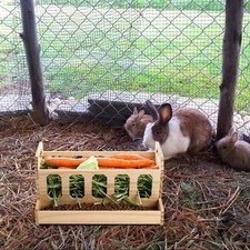 Kaninchen Heu Futterständer