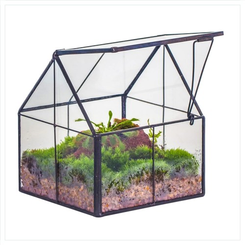 Stylisches mini terrarium für - stylisches,