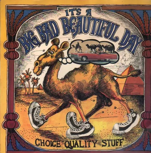 Its beautiful day - its, choice
