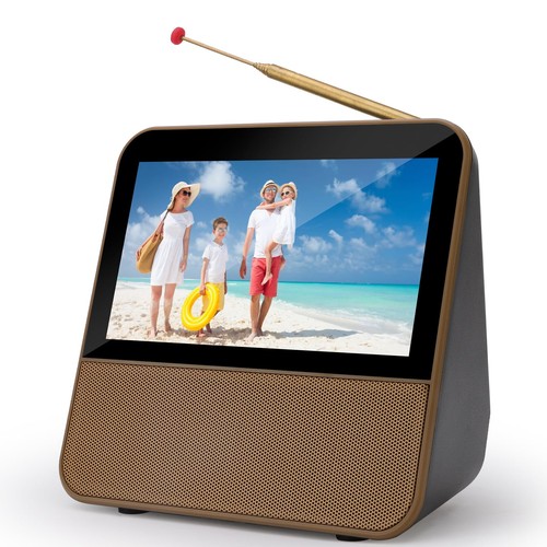 Digitaler tragbarer fernseher - digitaler,