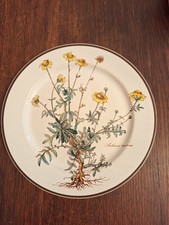 Villeroy & Boch Botanica