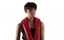 Lalizas automatische